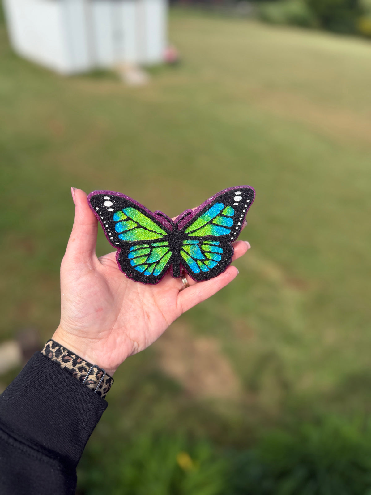 Butterfly Freshie