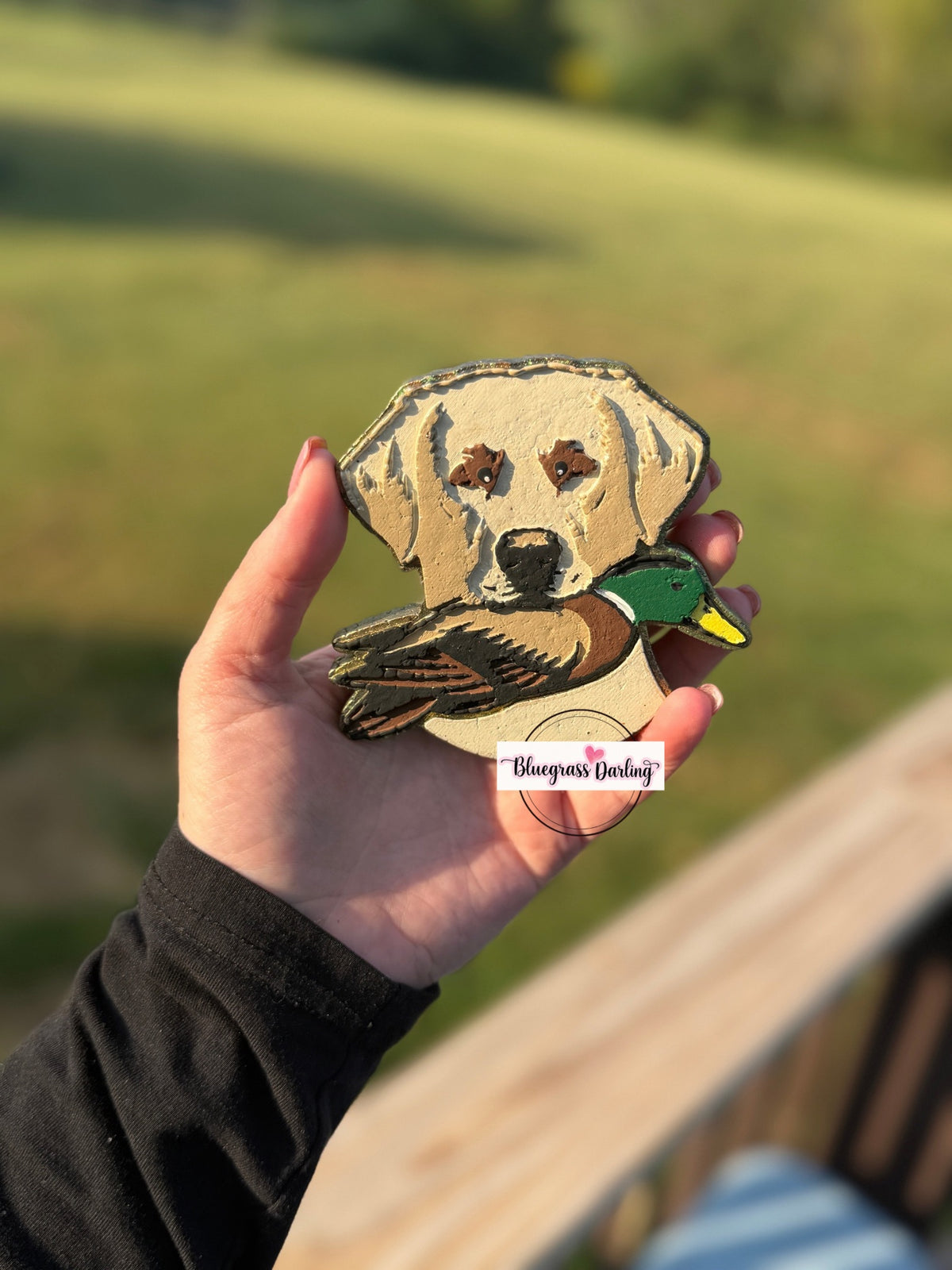 Lab & Duck Freshie